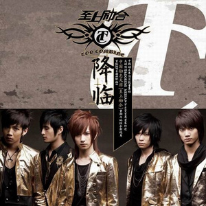 欧美熟妇成人视频
