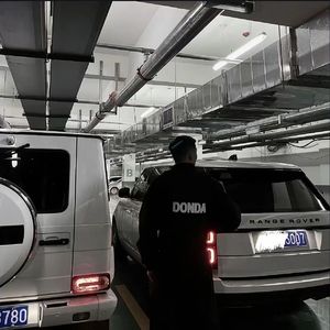 欧美熟妇成人视频
