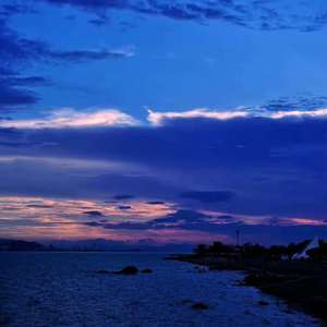 欧美熟妇成人视频
